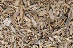 biomass boilers Daneshill